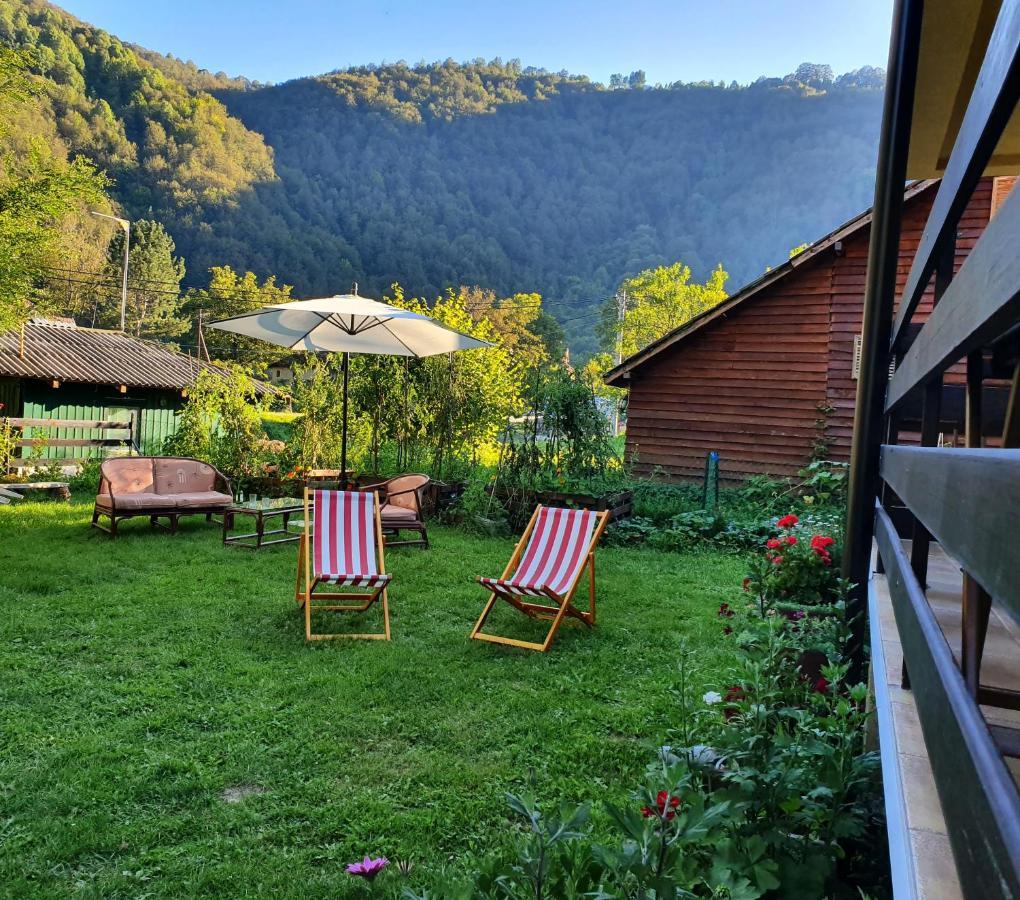 Vila Vrh Crni Vrh Kültér fotó