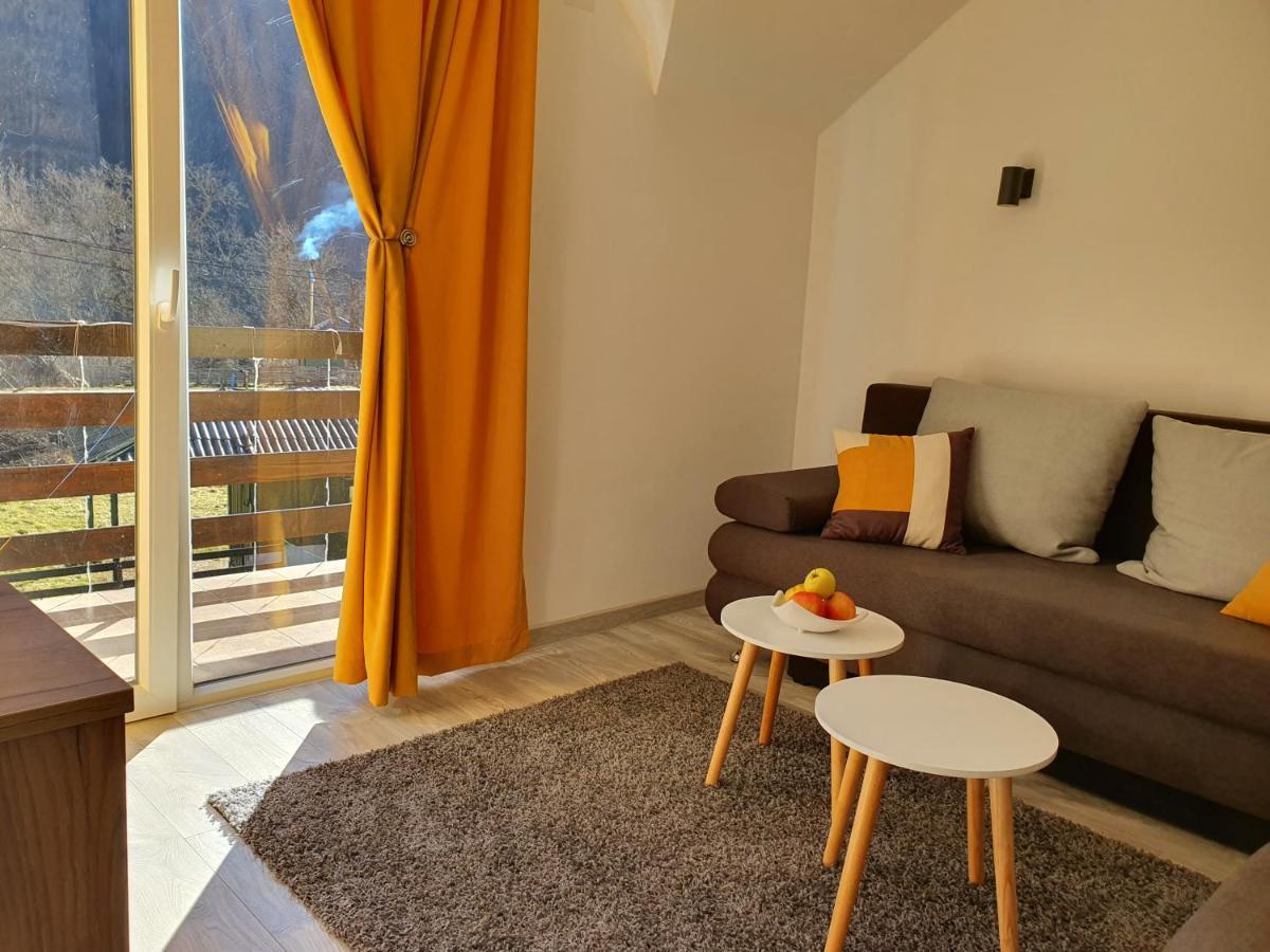 Vila Vrh Crni Vrh Kültér fotó