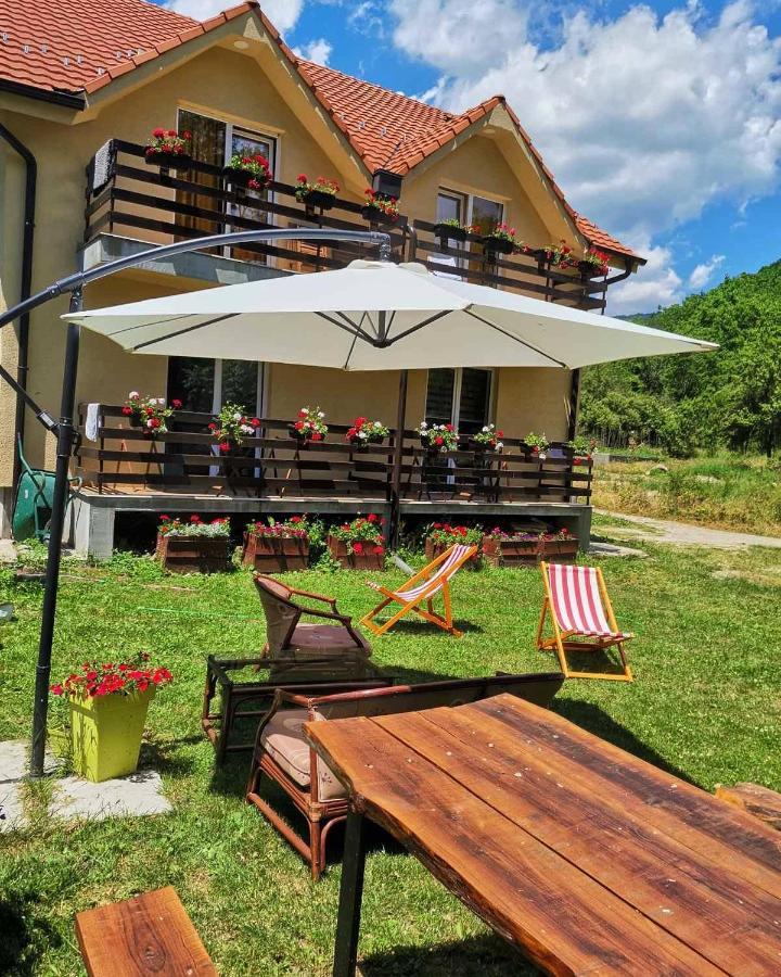 Vila Vrh Crni Vrh Kültér fotó