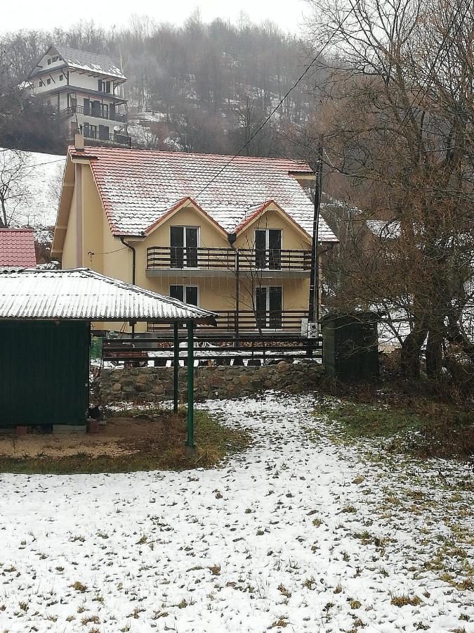 Vila Vrh Crni Vrh Kültér fotó