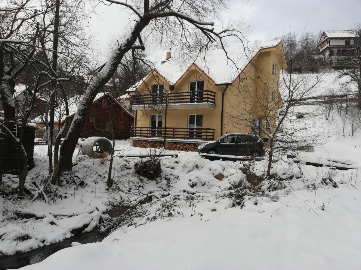 Vila Vrh Crni Vrh Kültér fotó